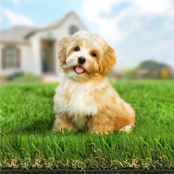 1mx10m OTANIC Artificial Grass 45mm 20sqm Gloss Synthetic Turf Roll Fake Yarn