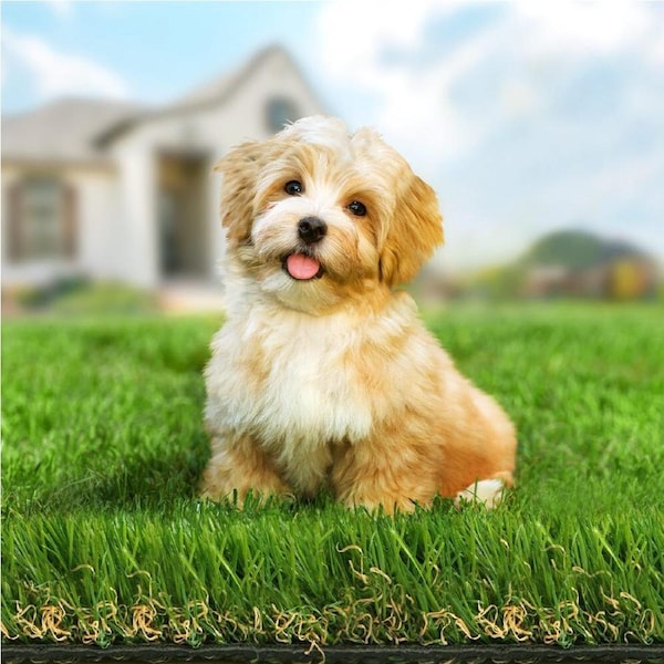 2mx5m OTANIC Artificial Grass 45mm 40sqm Synthetic Turf Gloss Fake Lawn