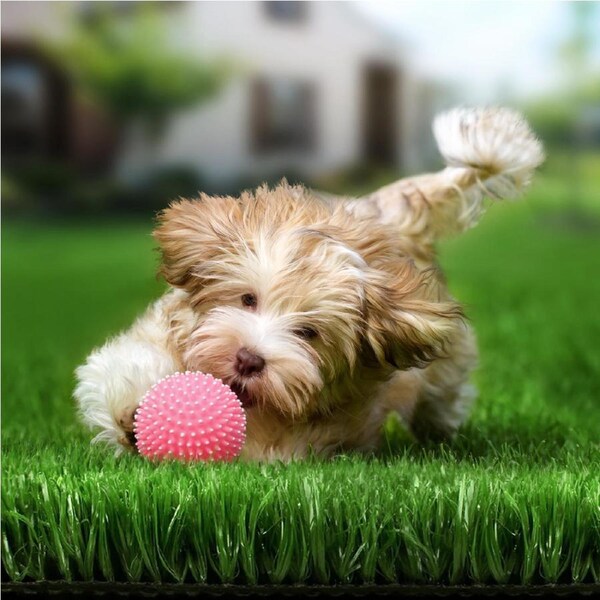 1mx10m OTANIC Artificial Grass 18mm 20sqm Synthetic Turf Gloss Fake Lawn