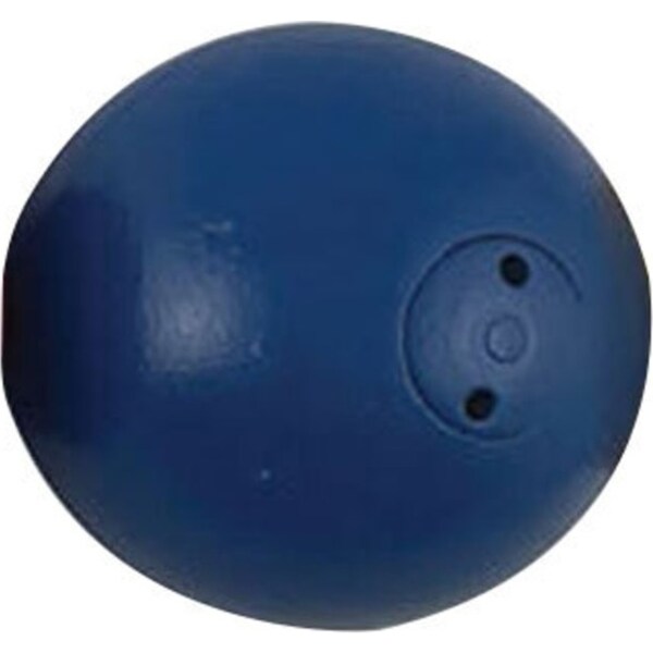 Regent 2kg Shot Puts Round Track & Field Sports Practice/Training Equipment