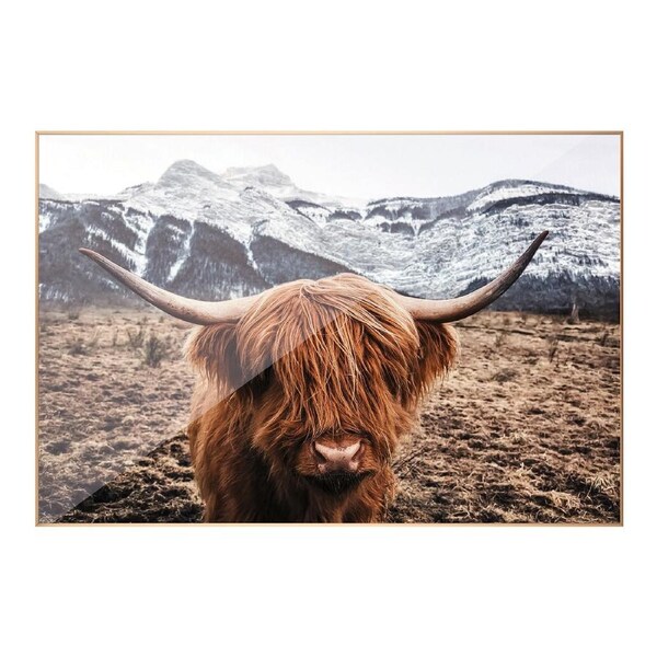 Highland Cow Art Print Highland Cattle Wall Art Home Framed