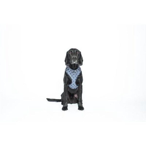 Neoprene Dog Harness (Navy Ikat) - XXL