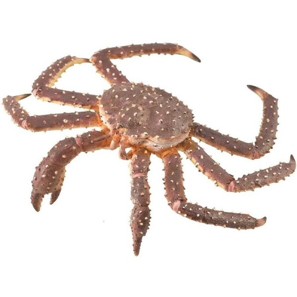 CollectA - King Crab Animal Figurine