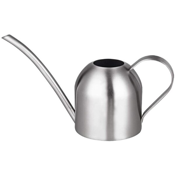 Stainless Steel Pot with Long Spout (1 L)