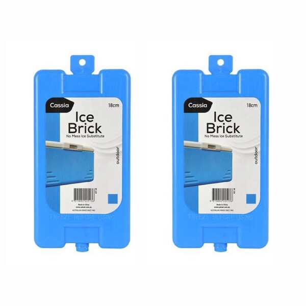 Portable Ice Brick Reusable Non-Toxic Picnics Lunch Box Cooler Bags 18CM