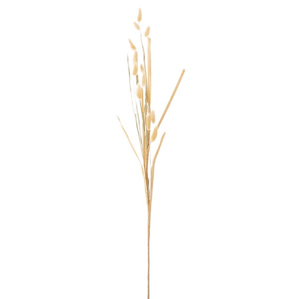 Foxtail Spray Cream 84cm