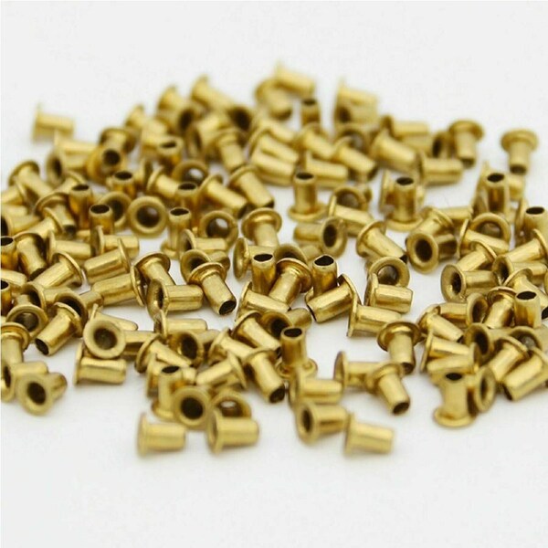 1000Pcs Beekeeper Beekeeping Beehive Bee Hive Brass Frame Eyelets Equipments AU