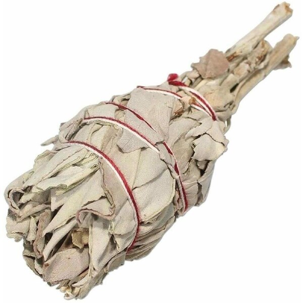 Smudge Stick California White Sage Small Twins 5? (12cm)