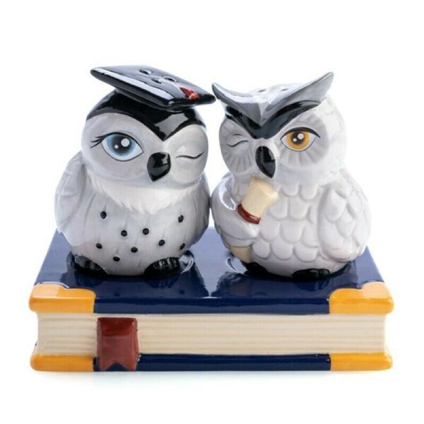 Owl Bird Lovers Salt and Pepper Shakers Set