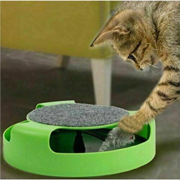 Motion Kitten Cat Toy Catch The Mouse Chase Interactive Training Scratchpad