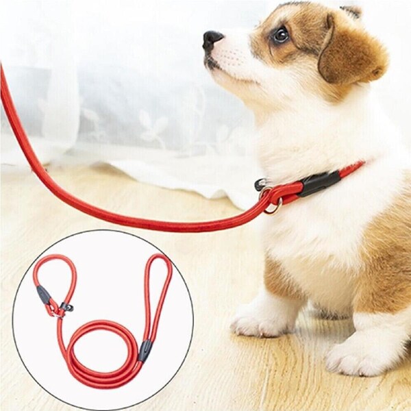 Red Slip Puppy Lead Nylon Rope Dog Training Correction Leash Pet 8mm