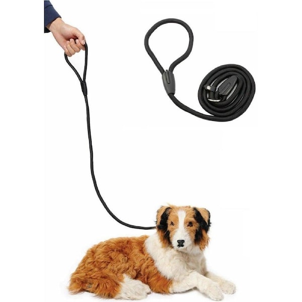 Black Slip Puppy Lead Nylon Rope Dog Training Correction Leash Pet 8mm
