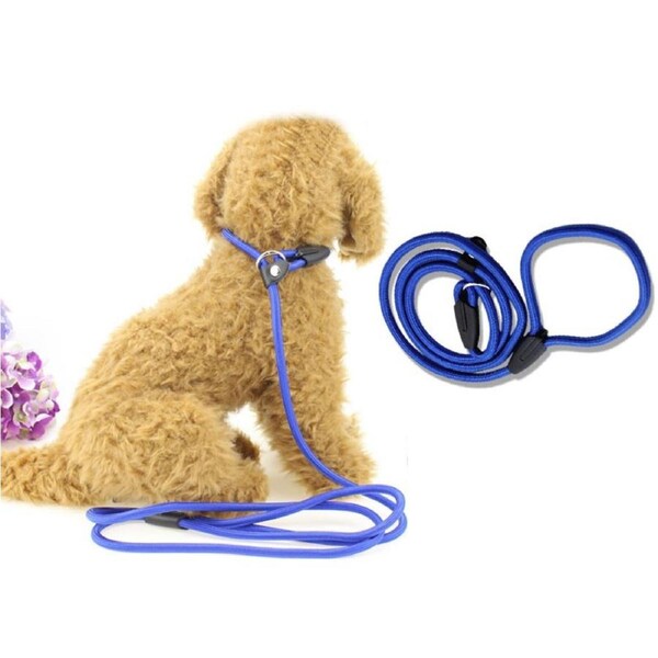 Blue Slip Puppy Lead Nylon Rope Dog Training Correction Leash Pet 8mm
