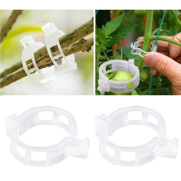 100x Tomato Greenhouse Garden Plant Support Veggie Clips Trellis Twine Clear