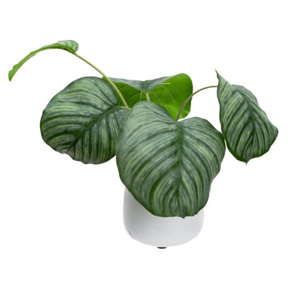 30cm Faux Calathea Bush in Ceramic Pot Artificial Plant Tabletop Flower Décor