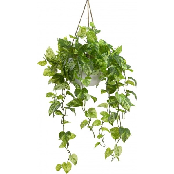 104cm Faux Marble Pothos Bush in Hanging Planter Tabletop and/or Hanging Display