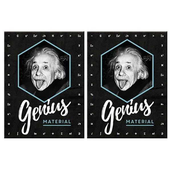 2PK Nostalgic Art Einstein Genius Colour Printed Fridge Rectangle Magnet 6x8cm