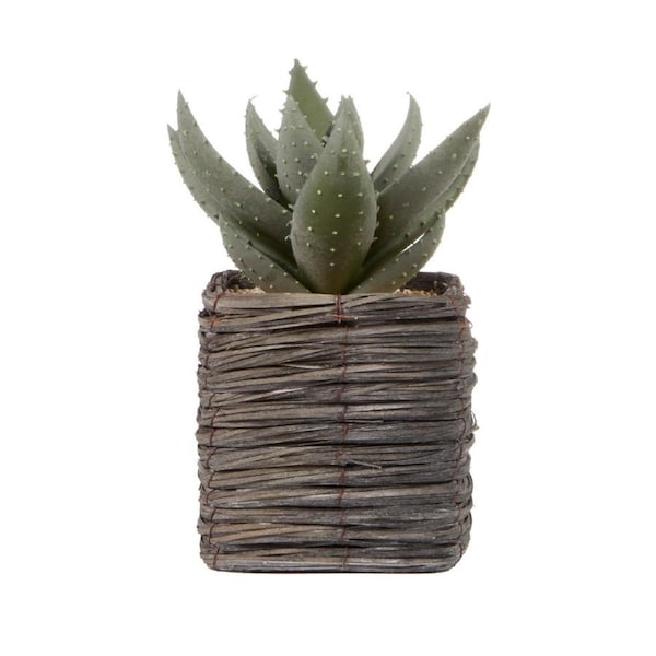 Cooper & Co. 29cm Aloe Vera Artificial Decorative Plant In Basket In Pot Set