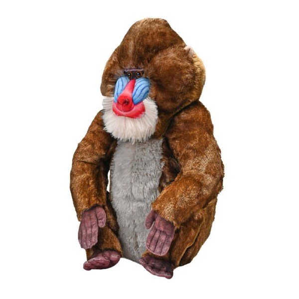 Artist Collection - Mandrill