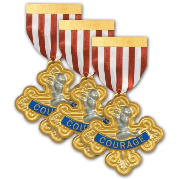 3PK Wizard Of Oz Cowardly Lion Costume Accessory Unisex Kids Badge Of Courage