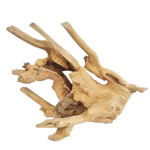 Aqua Natural Congo Driftwood Large 40cm