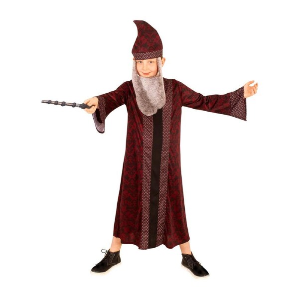 Harry Potter Dumbledore Hogwarts Childrens Wizard Robe Costume Set Size 9yrs+