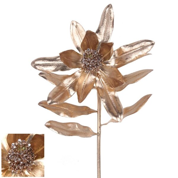 Champagne Leucadendron Stem 58cm