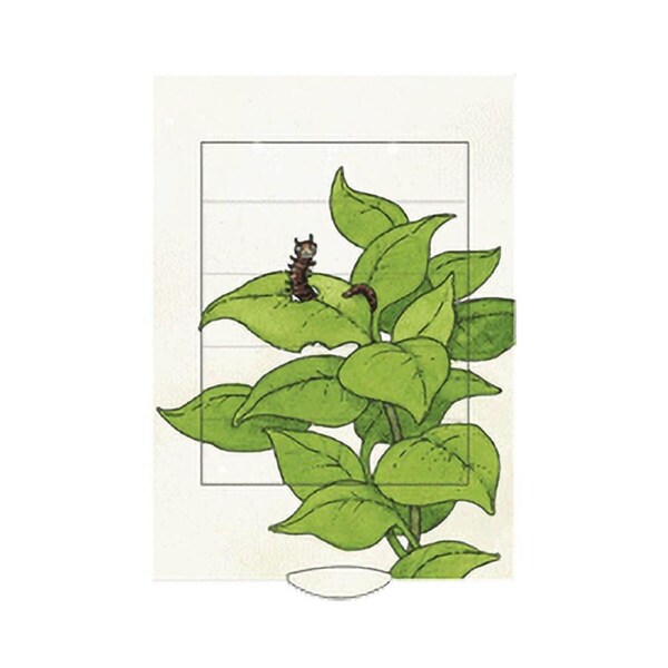 Butterfly 2-Way Living Card - Barenpresse