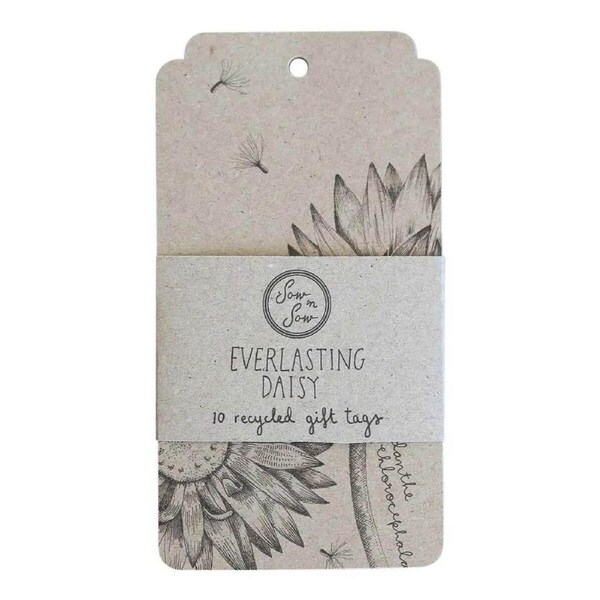 Everlasting Daisy Gift Tag - 10 pack - Sow 'n Sow