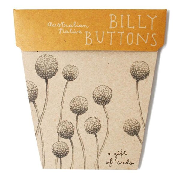 Billy Buttons Gift of Seeds - Sow 'n Sow