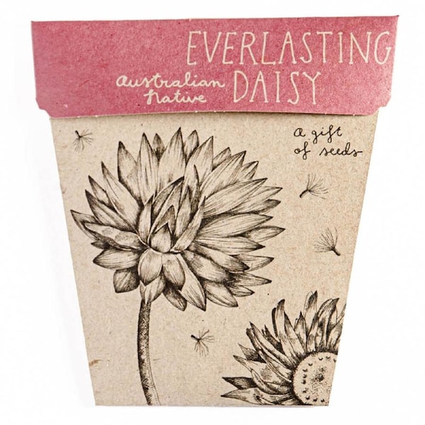 Everlasting Daisy Gift of Seeds - Sow 'n Sow