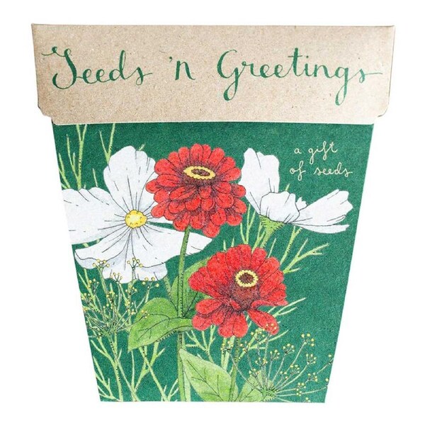 Seeds 'n Greetings Gift of Seeds - Sow 'n Sow