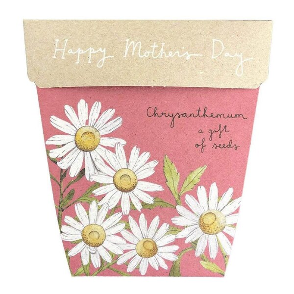 Mother's Day Chrysanthemum Gift of Seeds - Sow 'n Sow