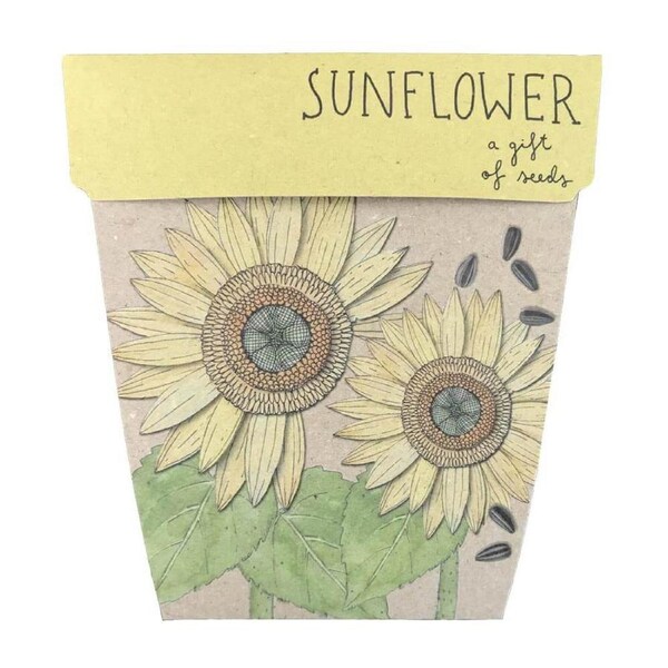 Sunflower Gift of Seeds - Sow 'n Sow
