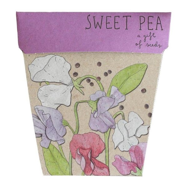 Sweet Pea Gift of Seeds - Sow 'n Sow