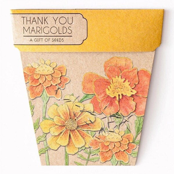 Marigolds Thank You Gift of Seeds - Sow 'n Sow