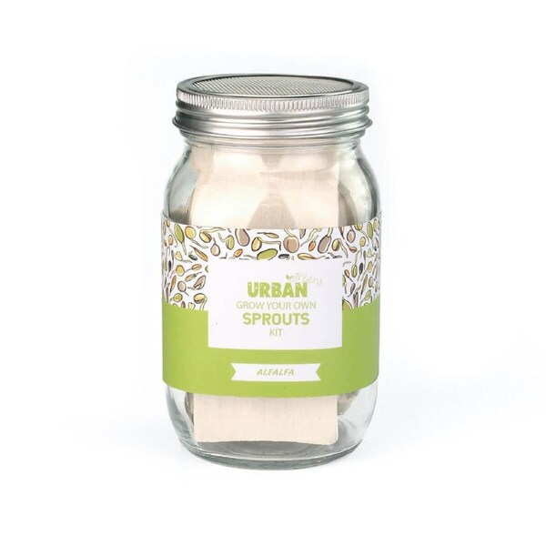 Grow Your Own Sprouts Jar Kit - Alfalfa - Urban Greens