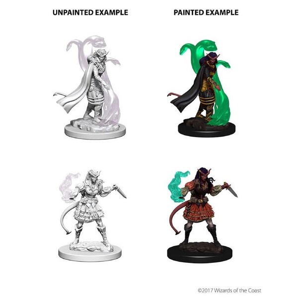D&D Nolzurs Marvelous Unpainted Miniatures Tiefling Female Sorcerer