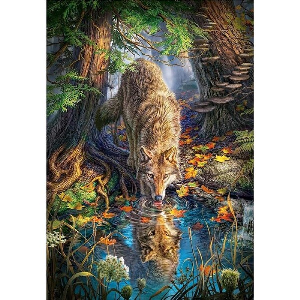 Castorland - Wolf In The Wild Puzzle 1500pc