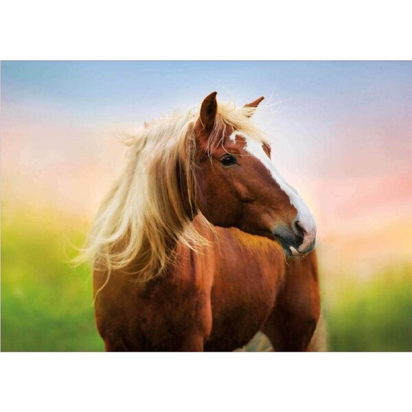 Educa - Horse At Sunrise Puzzle 500pc