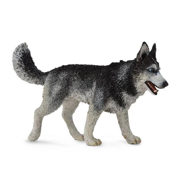 CollectA - Siberian Husky Large Animal Figurine
