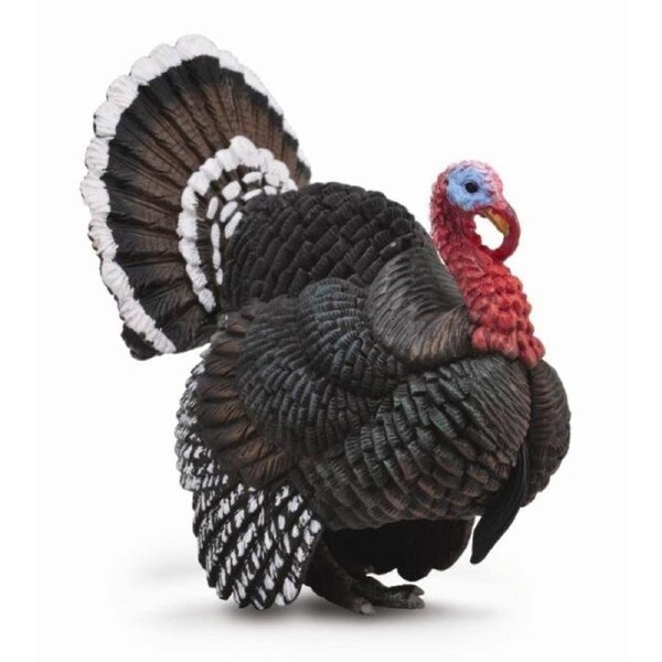 CollectA - Turkey Large Animal Figurine