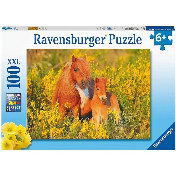 Ravensburger Puzzle 100pc XXL - Shetland Ponies