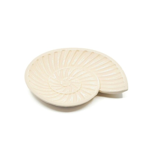 Rayell Harp Shell Trinket Tray Beige Home Decor/Storage Container MDF 23x20x2cm