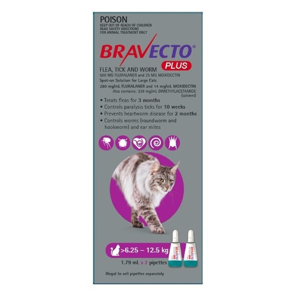 Bravecto Plus Cat 4 Month Spot On Tick & Flea Treatment 6.25-12.5kg Large Purple