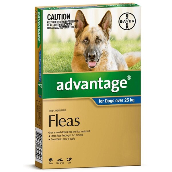 Advantage Extra Large Dog 25kg & Over Blue Spot On Flea Treatment 1 Pack