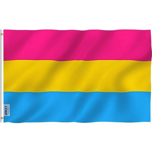 Large Pansexual Pride Flag Heavy Duty Polyester Durable - 90 X 150 CM 3ft x 5ft