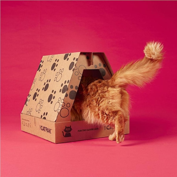 Catpak Portable Cat LItter Box 2x 3L Cat Litter Value Pack Absorbent 100% Biodegradable