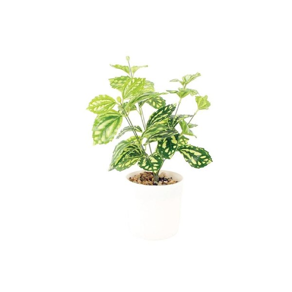 Maine & Crawford 30cm Dieffenbacia Artificial Faux Fake Plant In White Pot Decor