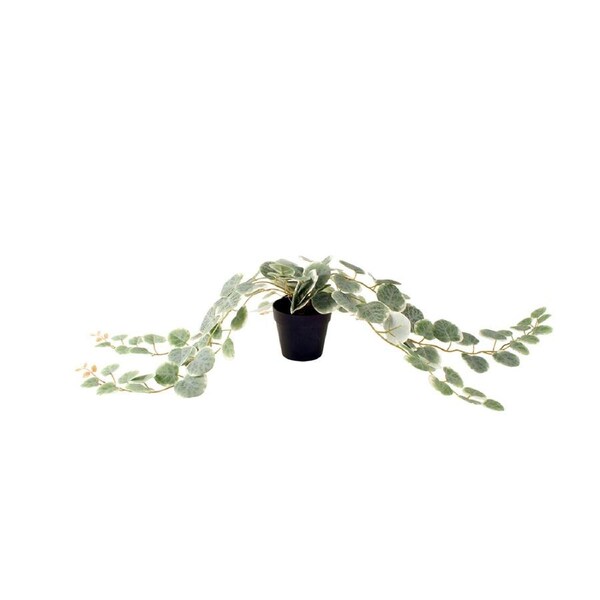Maine & Crawford 63cm Peperomia Artificial Faux Fake Plant In Black Plastic Pot